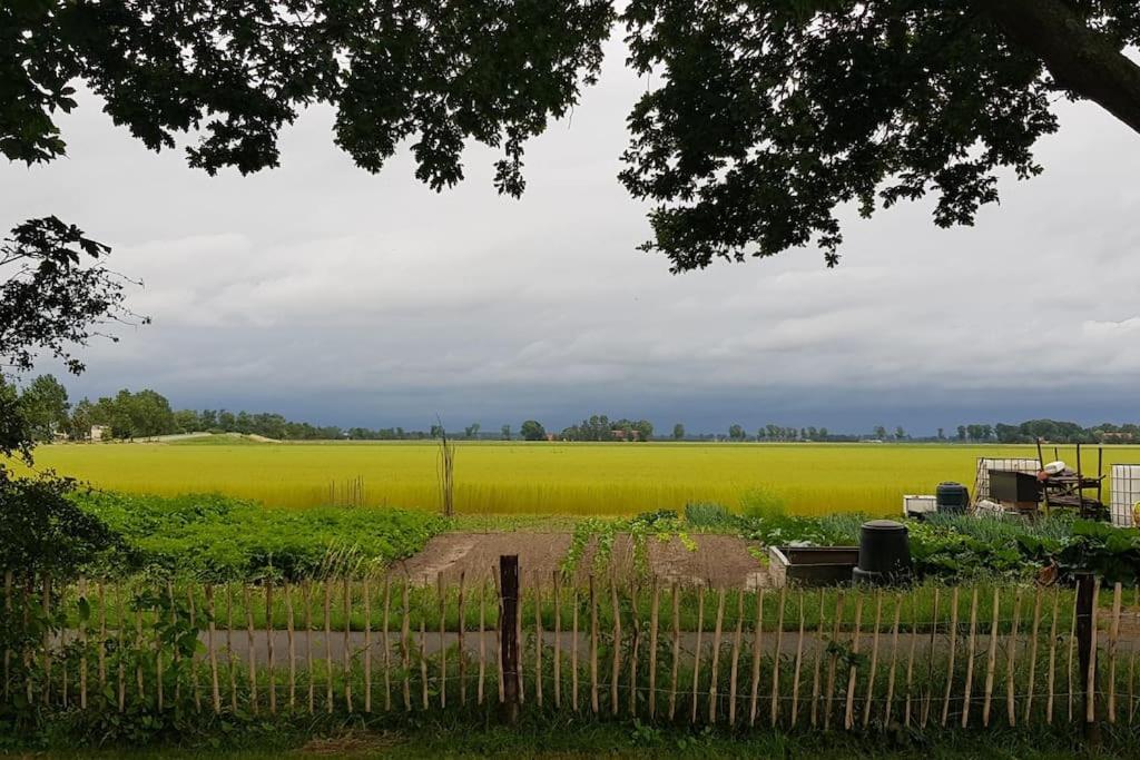 Huisje Fiederels Villa Bant Kültér fotó