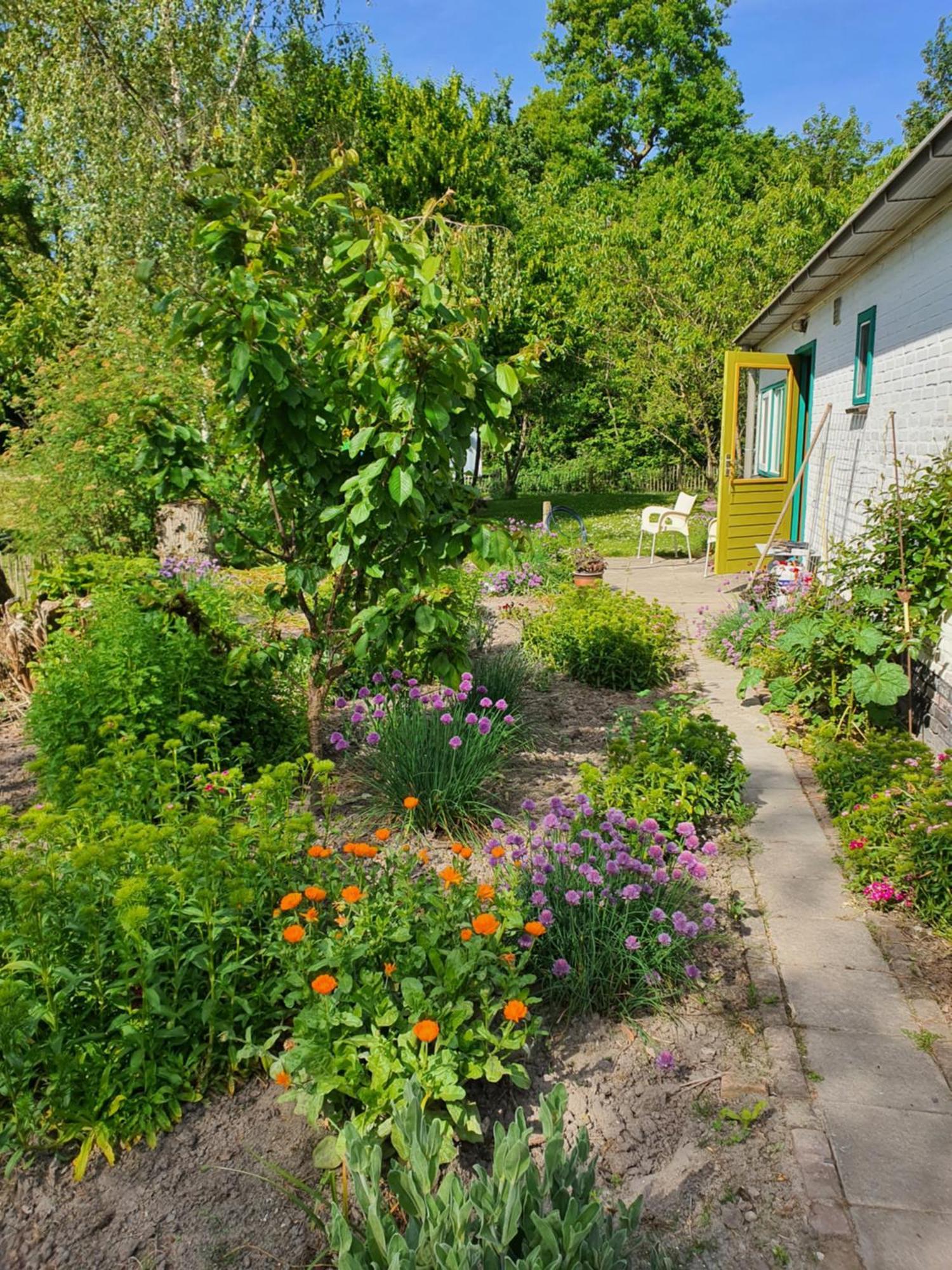 Huisje Fiederels Villa Bant Kültér fotó